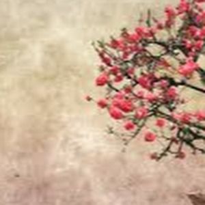 Meet your Posher, Jeremy